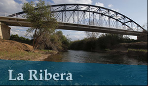 Titulares de La Ribera